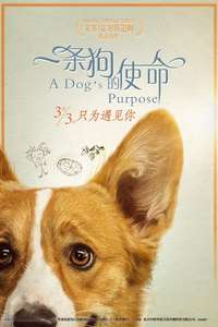 A Dog's Purpose - Poster