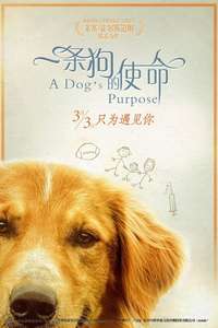 A Dog's Purpose - Poster