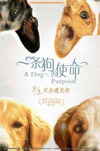A Dog's Purpose - Poster
