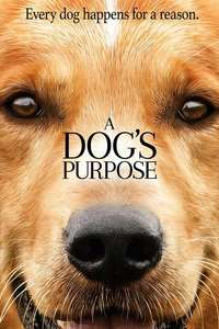 A Dog's Purpose - Poster