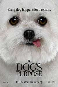 A Dog's Purpose - Poster