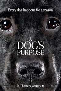 A Dog's Purpose - Poster