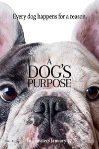 A Dog's Purpose - Poster