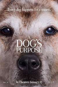 A Dog's Purpose - Poster