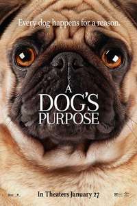 A Dog's Purpose - Poster