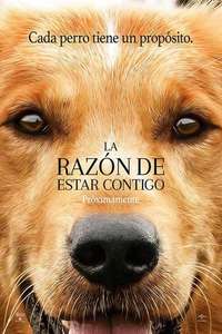 A Dog's Purpose - Poster