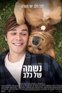 A Dog's Purpose - Poster