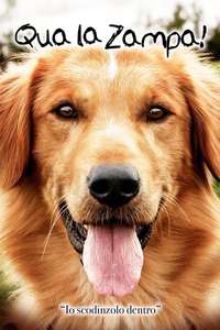 A Dog's Purpose - Poster