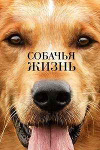A Dog's Purpose - Poster