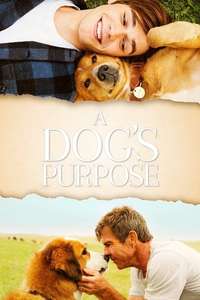 A Dog's Purpose - Poster