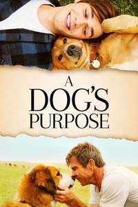 A Dog's Purpose - Poster