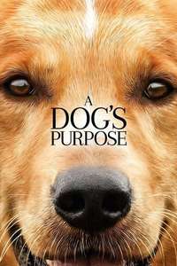 A Dog's Purpose - Poster