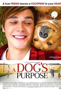A Dog's Purpose - Poster