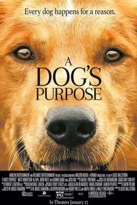 A Dog's Purpose - Poster