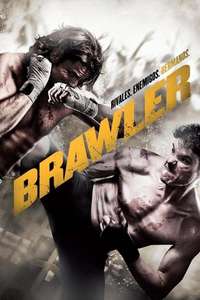 Brawler - Posters