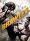 Brawler