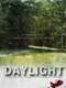 Daylight