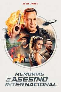 True Memoirs of an International Assassin - Poster