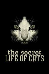 The Secret Life of Cats - Poster