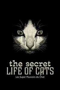 The Secret Life of Cats - Poster