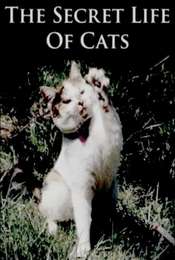 The Secret Life of Cats