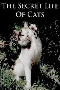 The Secret Life of Cats - Poster
