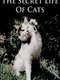 The Secret Life of Cats