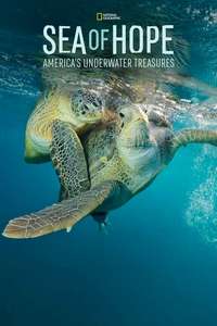 Sea of Hope: America's Underwater Treasures - Posters