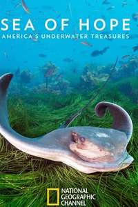 Sea of Hope: America's Underwater Treasures - Posters
