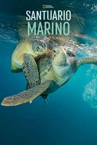 Sea of Hope: America's Underwater Treasures - Posters