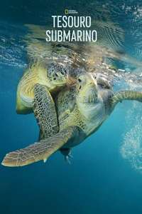 Sea of Hope: America's Underwater Treasures - Posters