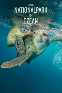 Sea of Hope: America's Underwater Treasures - Posters