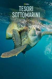 Sea of Hope: America's Underwater Treasures - Posters
