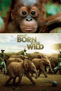 Born to Be Wild - Poster