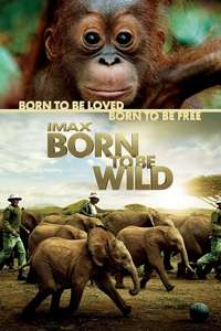 Born to Be Wild - Poster