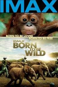 Born to Be Wild - Poster