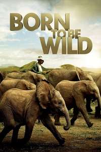 Born to Be Wild - Poster