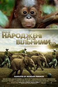 Born to Be Wild - Poster