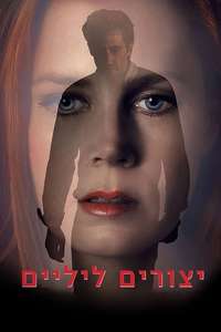 Nocturnal Animals - Poster