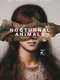 Nocturnal Animals