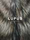 Lupus