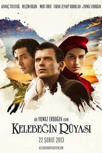 The Butterfly's Dream - Posters