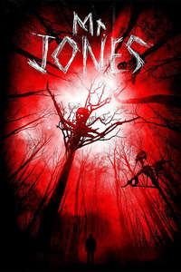 Mr. Jones - Posters