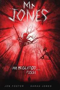 Mr. Jones - Posters