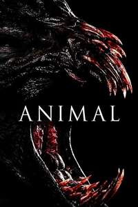 Animal - Poster