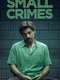 Small Crimes