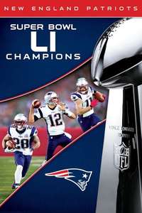 Super Bowl LI Champions New England Patriots - Poster