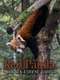 Red Panda: World's Cutest Animal