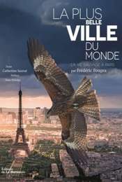 Paris: A Wild Story