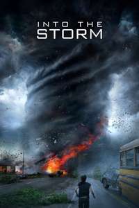 Into the Storm - Posters